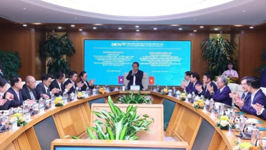 Lao official works with Vietnamese leading enterprises